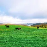Jaskowe Wzgorze Na Wynajem, Balia - Sauna, Nr 1 빌라