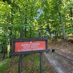 빌라 Jaskowe Wzgorze Na Wynajem, Balia - Sauna, Nr 1 *