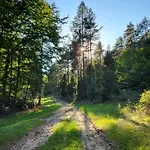 Jaskowe Wzgorze Na Wynajem, Balia - Sauna, Nr 1 *