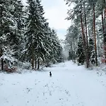 Jaskowe Wzgorze Na Wynajem, Balia - Sauna, Nr 1 심바르크
