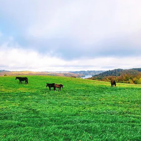 Jaskowe Wzgorze Domki Na Wynajem, Balia - Sauna, Szymbark Domek Nr 1 Villa