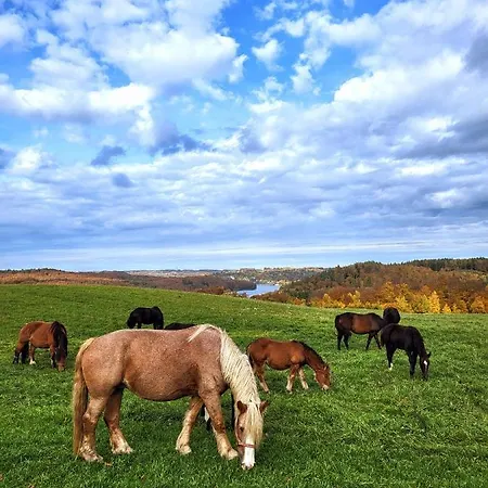 Βίλα Jaskowe Wzgorze Na Wynajem, Balia - Sauna, Nr 1 Szymbark (Pomerania)