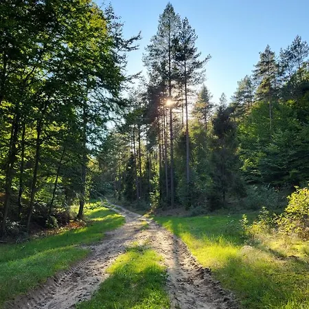 Jaskowe Wzgorze Na Wynajem, Balia - Sauna, Nr 1 *