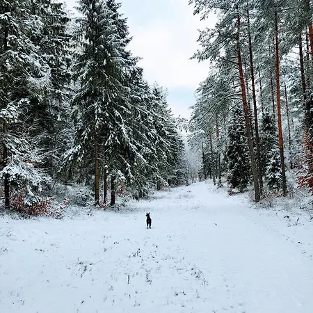 Jaśkowe Wzgórze Na Wynajem, Balia, Nr 1 Szymbark (Pomerania)