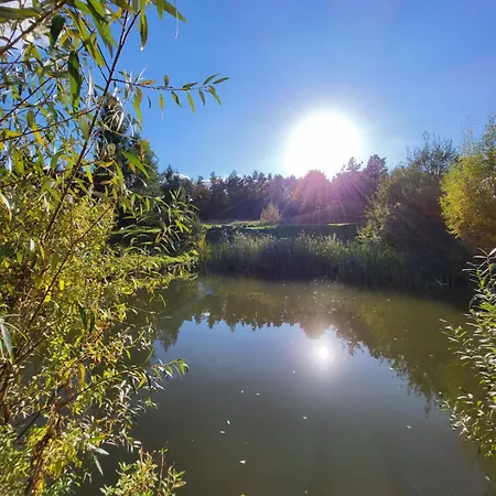 Villa Jaskowe Wzgorze Na Wynajem, Balia, Nr 1 *