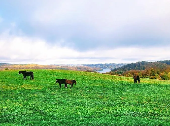 Jaskowe Wzgorze Na Wynajem, Balia - Sauna, Nr 1 Villa