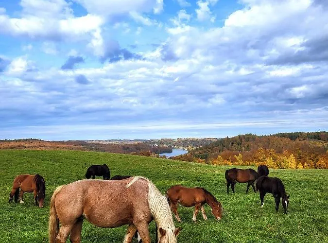 فيلة Jaskowe Wzgorze Na Wynajem, Balia - Sauna, Nr 1 تشيمبارك