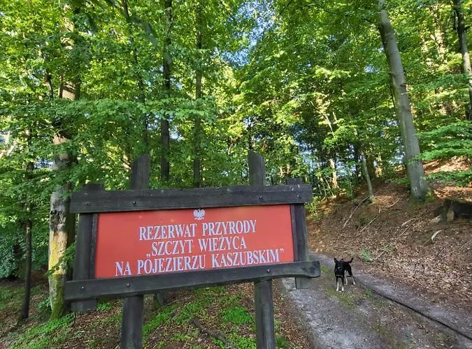 فيلة Jaskowe Wzgorze Na Wynajem, Balia - Sauna, Nr 1 *