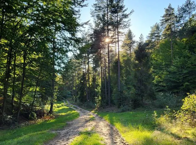 Jaskowe Wzgorze Na Wynajem, Balia - Sauna, Nr 1 *