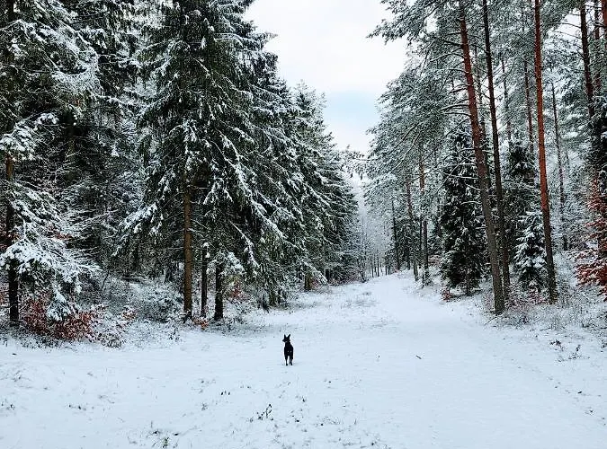 Jaskowe Wzgorze Na Wynajem, Balia - Sauna, Nr 1 تشيمبارك