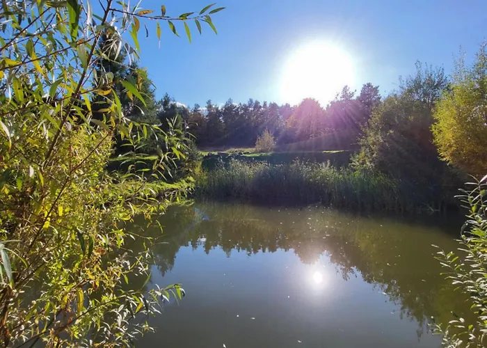 Villa Jaskowe Wzgorze Na Wynajem, Balia - Sauna, Nr 1 *