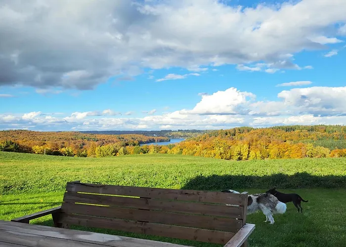 Jaskowe Wzgorze Na Wynajem, Balia - Sauna, Nr 1 *